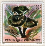 Stamps Rwanda -  4 Lentinus atrobrunneus