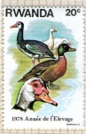 Stamps Rwanda -  25 Año de la ganaderia