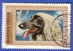 Stamps Hungary -  Perro afgano