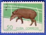 Stamps : America : Cuba :  Tapi