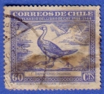 Stamps : America : Chile :  Centenario del libro de Gay