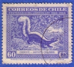 Stamps : America : Chile :  Centenario del libro de Gay