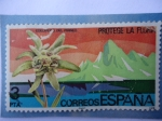 Stamps Spain -  Ed:2469- Proteje la Flora- Edelweiss del Pirineo.