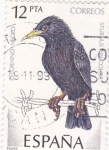 Stamps Spain -  ESTORNINO NEGRO-AVE   (2)