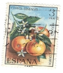 Stamps Spain -  Naranjo