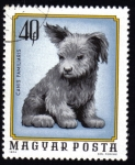 Stamps Hungary -  Canis Familiaris