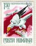 Sellos de Europa - Rumania -  87 Neophron percnopterus