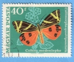 Stamps Hungary -  Csikos medvelepke