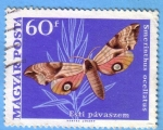 Stamps : Europe : Hungary :  Esti pávaszem