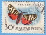 Stamps Hungary -  Arctia Hebe