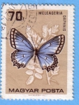 Stamps Hungary -  Meleageria Daphnis
