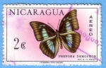 Stamps Nicaragua -  Prepona Demophon