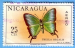 Stamps : America : Nicaragua :  Thecla Regalis