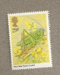Stamps United Kingdom -  Grillo