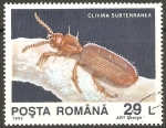 Stamps Romania -  CLIVINA  SUBTERRANEA
