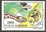 Stamps Romania -  VIPERA  URSINI