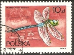 Stamps Poland -  ANAX  IMPERATOR
