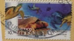 Sellos de America - M�xico -  México conserva - tortugas marinas