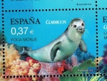 Stamps Spain -  Edifil  4799 C  Fauna Marina en peligro de extinción.  