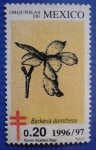 Stamps : America : Mexico :  Orquídea "Barkeria dorotheae"