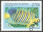 Stamps : Africa : Benin :  PYGOPLITES  DIACANTHUS