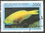 Stamps : Africa : Benin :  SCARUS  GIBBUS