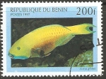 Sellos de Africa - Benin -  SCARUS  GIBBUS