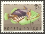 Stamps Poland -  PEZ  TIRADOR  RAYADO