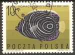 Stamps Poland -  PEZ   ANGELOTE