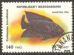 Stamps : Africa : Madagascar :  CICHLASOMA  BIOCELLATUM