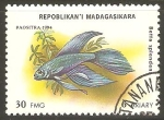 Stamps Madagascar -  BETTA   SPLENDENS