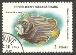 Stamps Madagascar -  POMACANTHUS   IMPERATOR