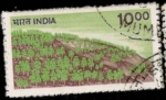 Stamps India -  monte arbolada