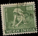 Stamps India -  recolectora de te