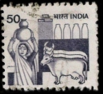 Stamps India -  vacas y mujer con cántaro