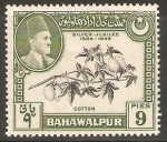 Stamps Pakistan -  PLANTA   DE   ALGODÒN