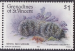 Stamps : America : Saint_Vincent_and_the_Grenadines :  Tripneustes esculenta