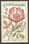 Stamps : Europe : Czechoslovakia :  ROSA   CANINA.   PLANTA   MEDICINAL