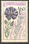 Stamps Czechoslovakia -  CENTAUREA   CYANUSL.  PLANTA   MEDICINAL  