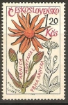 Stamps Czechoslovakia -  ARNICA   MONTANAL.   PLANTA   MEDICINAL
