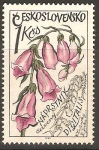 Stamps Czechoslovakia -  DEDALERA.   PLANTA   MEDICINAL