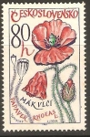 Stamps Czechoslovakia -  PAPAVER   RHOEAS.   PLANTA   MEDICINAL