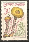 Stamps : Europe : Czechoslovakia :  TUSSILACO   FARFARA.   PLANTA   MEDICINAL