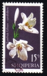 Stamps Albania -  Lirios