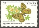 Stamps Spain -  PARNASSIUS   APOLLO