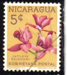 Sellos de America - Nicaragua -  Cayetana Skinner