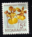 Stamps Nicaragua -  Oncidium Cebolleta / Ascendens