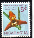 Stamps Nicaragua -  Maxillaria Tenuifolia