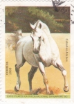 Stamps Cuba -  Caballo Arabe