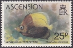 Stamps United Kingdom -  Pez
